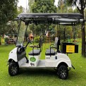 4 Seater with cargo Electric Tourist Passengers Golf Cart for Small and Large Campus Purpose