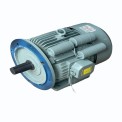 5 Hp Single Phase Ac Induction Motor