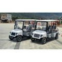 6-8 Seater 6Seater Electric Site Seeing Bus