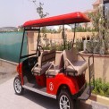 6 Battery Operated Golf Carts