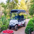 6 Seater Eco-Friendly Golf Cart for Small and Large Campus Purpose