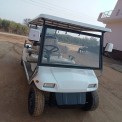 6 Seater Electric golf cart with portable cargo