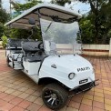 6 Seater Electric Wheelchair Golf Cart for Small and Large Campus Purpose