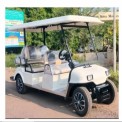 6 Seater Golf Cart