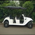6 Seater Golf Cart Rental Services