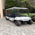6 Seater Golf Cart Rental Service