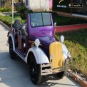 6 Seater Nova Electric Golf Cart