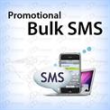 How Do Banks Send Transaction Alerts Using Bulk SMS?
