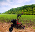 7 Hp Petrol Power Weeder SK-8500P