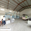 75 HP Fully Automatic Flour Mill Plant, Capacity: 1000 kg/hr