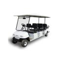 8 Seater Maini Electric Buggies
