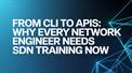 From CLI to APIs: Why Every Network Engineer Needs SDN Training Now