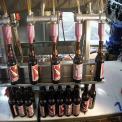 Alcohol Bottle Filling & Capping Machine