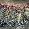 Alloy Chain Sling, Capacity: Up To 100 Ton