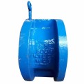 Api Wafer Type Dual Plate Check Valve, Valve Size: 24 inch
