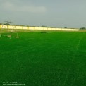 Artificial Cricket Pitch