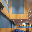 Auditorium Wood Wall Panels, 8 x 4
