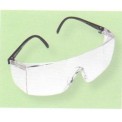 Autoclavable Goggles