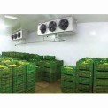 Automatic 5 Ton Fruit Ripening Chamber