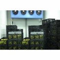 Automatic Banana Ripening Chamber, For Industrial