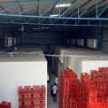Automatic Banana Ripening Chamber, Capacity: 5 Ton