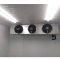 Automatic Blue Star Ripening Chamber, +2 To 8, 01
