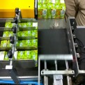 Automation Sorting Conveyor