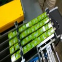 Automation Sorting Conveyor