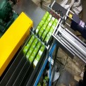 Automation Sorting Conveyor