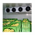 Banana Ripening Chamber