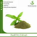 Basil Dry Extract, Powder, 25 Kg