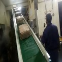 Belt Mild Steel Can Transfer Conveyor, Material Handling Capacity: 1-50 Kg Per Feet