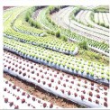 Biodegradable Agricultural Mulch Film