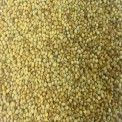Bird Seed Seeds ADILAID Premium Bajri (1Kg), Packaging Type: Packet