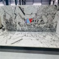 Black Biscotti White Granite, Thickness: 15-20 mm
