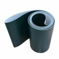 Black Endless Belts, Belt Thickness: 10 mm