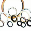 Black Oil Seals