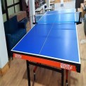 Blue Table Tennis Table, Board Thickness Type: 18 mm, Model Name/Number: Kftclub