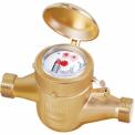 Brass Kranti Water Flow Meter 20mm, 500 mm