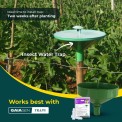 Brinjal Fruit And Shoot Borer Lure, For Agriculture, Packaging Type: Box