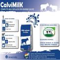 Calf Milk Replacer, 25Kg, Packet