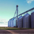 Cement Storage Silo, Automation Grade: Fully Automatic, Capacity: 20 - 100 Tons