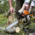 Chainsaw Tree Cutter, 62 CC, 22 inch