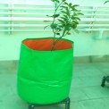 Circule Hdpe Creeper Plant Grow Bag, For Terrace Gardening, Size: 18x24