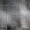 Coated Rectangular Welded Mesh For Bird Cage, Packaging Type: Roll