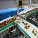 Conveyor Belt for Food Industry, Width: 10 to 3000 mm