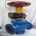 Cs Globe Type Control Valve