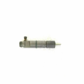 Delphi Eicher Pro 6040 Truck Fuel Injector