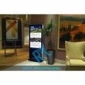 Digital Kiosk Advertising