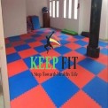 Dojo Mats Blue and Red Mat